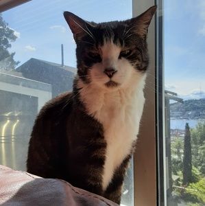 Meet your Posher, Nette